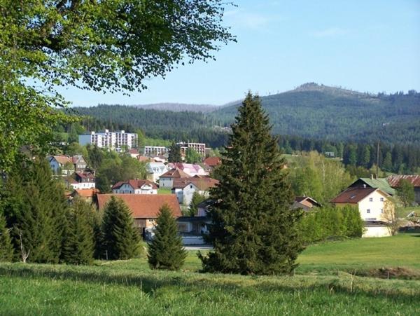 HaidmühleHaus Hochstein公寓式酒店 外观 照片